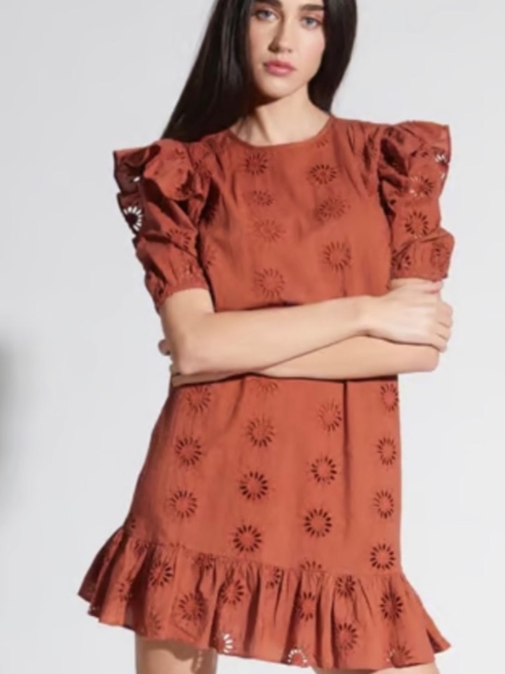 Walter Baker Burnt Orange Eyelet Mini Dress | Size M | Puff Sleeve | Cotton